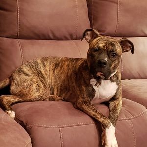 Meet your Posher, Teresa l